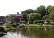 小石川植物園