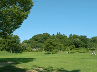 王禅寺ふるさと公園